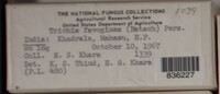 Image Associated With the Occurence